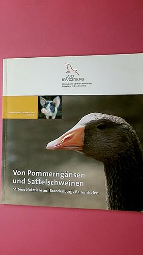 Seller image for VON POMMERNG�NSEN UND SATTELSCHWEINEN Seltene Nutztiere auf Brandenburgs Bauernh�fen for sale by Butterfly Books GmbH & Co. KG