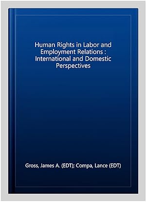 Immagine del venditore per Human Rights in Labor and Employment Relations : International and Domestic Perspectives venduto da GreatBookPrices