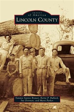 Imagen del vendedor de Lincoln County a la venta por GreatBookPrices