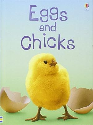 Immagine del venditore per Eggs and Chicks (Beginners) venduto da WeBuyBooks 2