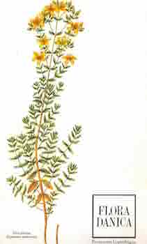 Immagine del venditore per Flora Danica. Restaurant Copenhague, Mai 1998. [Menu] venduto da Wittenborn Art Books