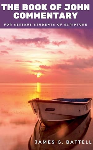 Seller image for The Book of John KJV Commentary for sale by Rarewaves.com USA