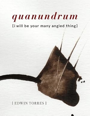 Seller image for quanundrum [i will be your many angled thing] for sale by Rarewaves USA