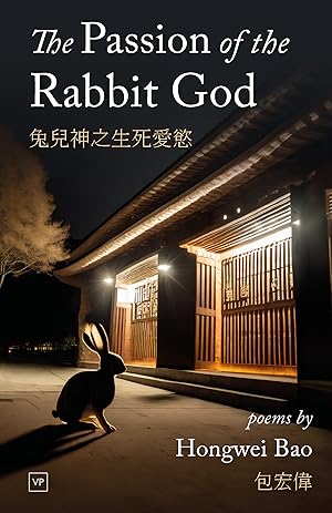 Seller image for The Passion of the Rabbit God for sale by Rarewaves USA