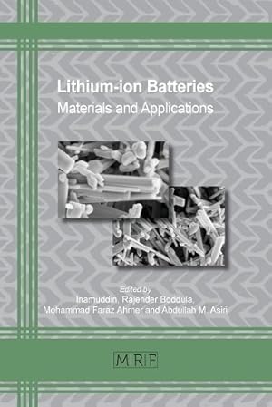 Immagine del venditore per Lithium-ion Batteries venduto da Rarewaves.com USA
