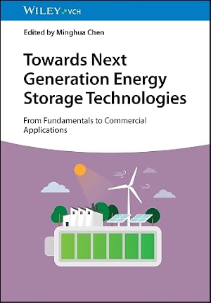 Immagine del venditore per Towards Next Generation Energy Storage Technologies venduto da Rarewaves.com USA