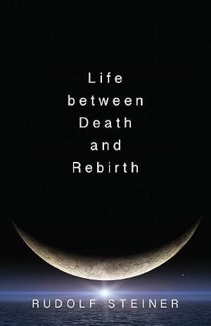 Imagen del vendedor de Life Between Death and Rebirth a la venta por Rarewaves USA United