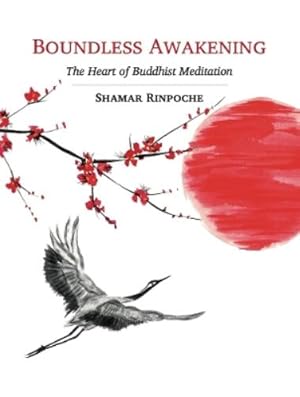 Imagen del vendedor de Boundless Awakening a la venta por Rarewaves.com USA