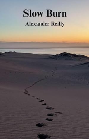 Imagen del vendedor de Slow Burn a la venta por AHA-BUCH GmbH