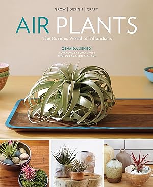 Imagen del vendedor de Air Plants: The Curious World of Tillandsias a la venta por Blue Vase Books