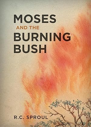 Imagen del vendedor de Moses and the Burning Bush a la venta por Off The Shelf
