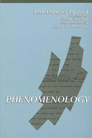 Bild des Verk�ufers f�r Phenomenology zum Verkauf von GreatBookPricesUK