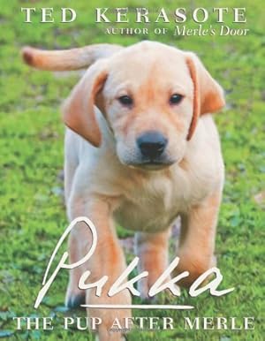 Imagen del vendedor de Pukka: The Pup After Merle a la venta por Greenworld Books