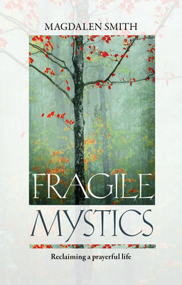 Bild des Verk�ufers f�r Fragile Mystics (Paperback or Softback) zum Verkauf von BargainBookStores