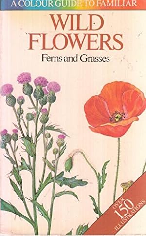 Bild des Verk�ufers f�r Wild Flowers: A Color Guide to Familiar Wild Flowers: Ferns and Grasses zum Verkauf von WeBuyBooks