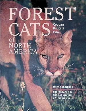 Seller image for Forest Cats of North America for sale by Barksdale Books
