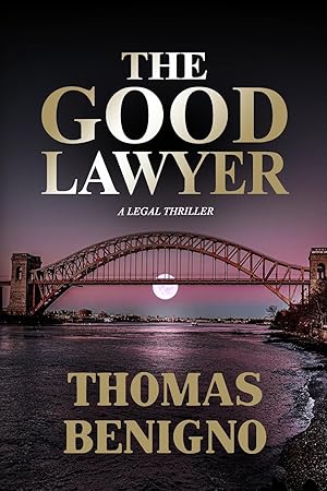 Seller image for The Good Lawyer: A Novel (The Good Lawyer Series) for sale by Greenworld Books