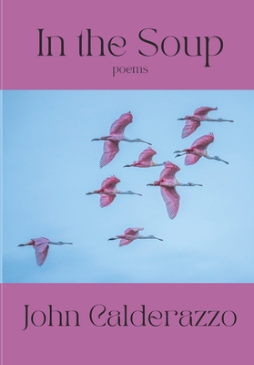 Imagen del vendedor de In The Soup (Paperback or Softback) a la venta por BargainBookStores