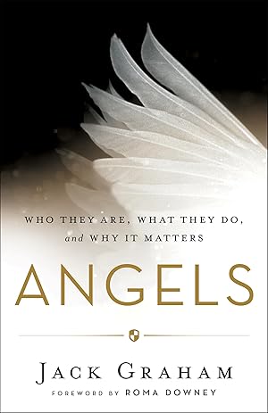 Immagine del venditore per Angels: Who They Are, What They Do, and Why It Matters venduto da clickgoodwillbooks