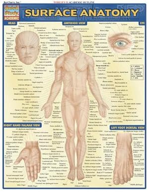 Seller image for Surface Anatomy for sale by Rarewaves.com USA