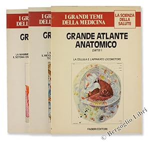 Bild des Verkufers fr GRANDE ATLANTE ANATOMICO.: zum Verkauf von Bergoglio Libri d'Epoca