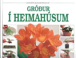 Imagen del vendedor de Grodur I Heimahusum : Handbok Skjaldborgar Um a la venta por Lazy Letters Books