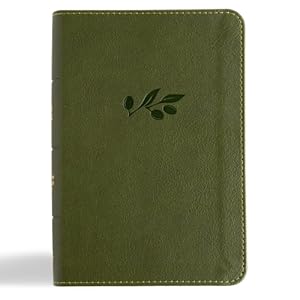 Seller image for CSB Large Print Compact Reference Bible, Digital Study Edition, Olive Leathertouch for sale by Rarewaves.com USA