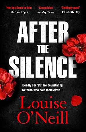 Seller image for After the Silence: The An Post Irish Crime Novel of the Year for sale by Greenworld Books