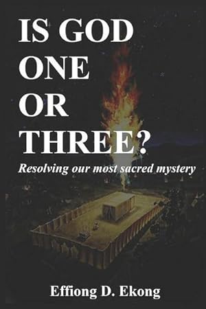 Immagine del venditore per Is God One or Three?: Resolving our most sacred mystery venduto da Wegmann1855