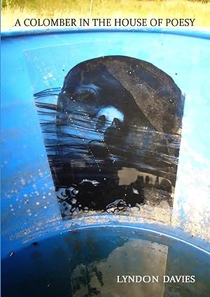 Seller image for A Colomber In The House Of Poesy for sale by preigu