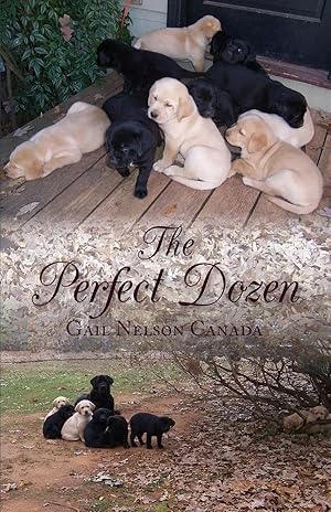 Seller image for The Perfect Dozen for sale by preigu