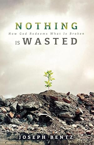 Bild des Verk�ufers f�r Nothing Is Wasted | How God Redeems What Is Broken zum Verkauf von preigu