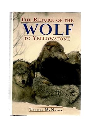 The Return of the Wolf to Yellowstone