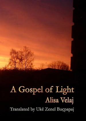 Immagine del venditore per A Gospel of Light venduto da preigu