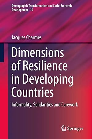 Imagen del vendedor de Dimensions of Resilience in Developing Countries | Informality, Solidarities and Carework a la venta por preigu
