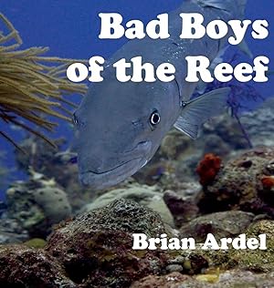 Immagine del venditore per Bad Boys of the Reef venduto da preigu