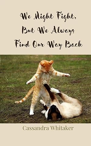 Imagen del vendedor de We Might Fight, But We Always Find Our Way Back a la venta por preigu