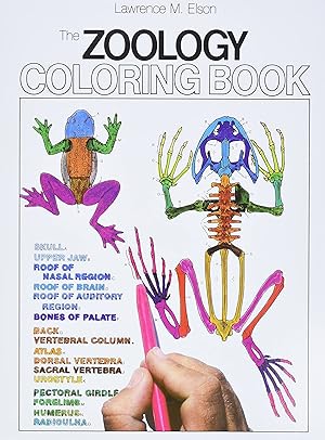 Image du vendeur pour The Zoology Coloring Book mis en vente par 3Brothers Bookstore