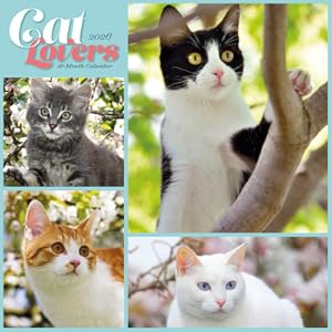 Seller image for Cat Lovers: 12 X 12 Wall (Calendar) for sale by BargainBookStores