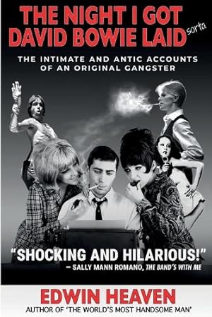 Immagine del venditore per The Night I Got David Bowie Laid (Sorta) venduto da Rarewaves.com UK