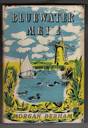 Imagen del vendedor de Bluewater Mere a la venta por High Street Books