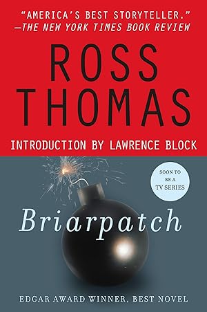 Seller image for Briarpatch: A Novel for sale by Goodwill Books
