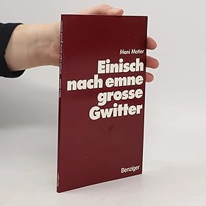 Bild des Verk�ufers f�r Einsich nach emne grosse Gwitter: Berndeutsche Chansons zum Verkauf von Bookbot