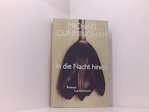 Imagen del vendedor de In die Nacht hinein: Roman Roman a la venta por Book Broker