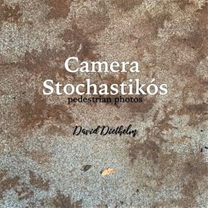 Immagine del venditore per Camera Stochastik�s: pedestrian photos venduto da GreatBookPrices