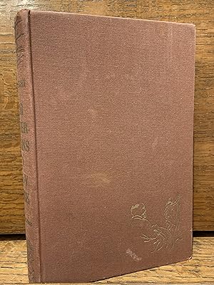 Seller image for 1001 Afternoons in New York for sale by Sellers & Newel Second-Hand Books