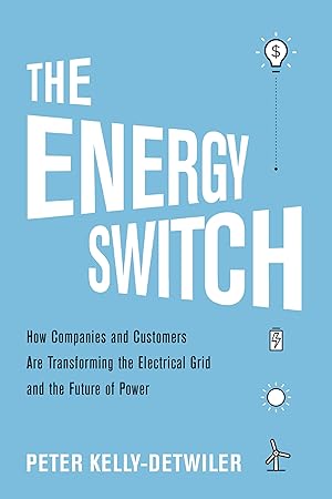 Imagen del vendedor de The Energy Switch: How Companies and Customers Are Transforming the Electrical Grid and the Future of Power a la venta por Books for Life
