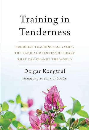 Seller image for Training in Tenderness: Buddhist Teachings on Tsewa, the Radical Openness of Heart That Can Change the World for sale by Zoom Books East