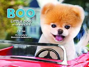 Seller image for Boo: Little Dog in the Big City for sale by Dream Books Co.