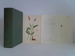 Bild des Verk�ufers f�r Sammlung naturkundlicher Tafeln: Mitteleurop�ische Pflanzenwelt - Kr�uter und Stauden zum Verkauf von Celler Versandantiquariat